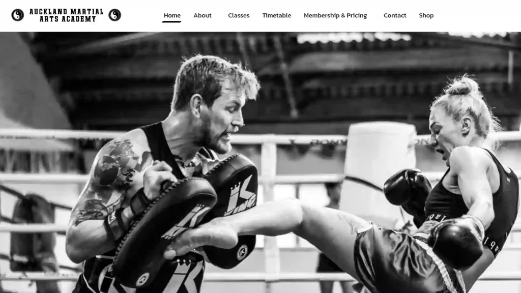 Auckland Martial Arts Academy
