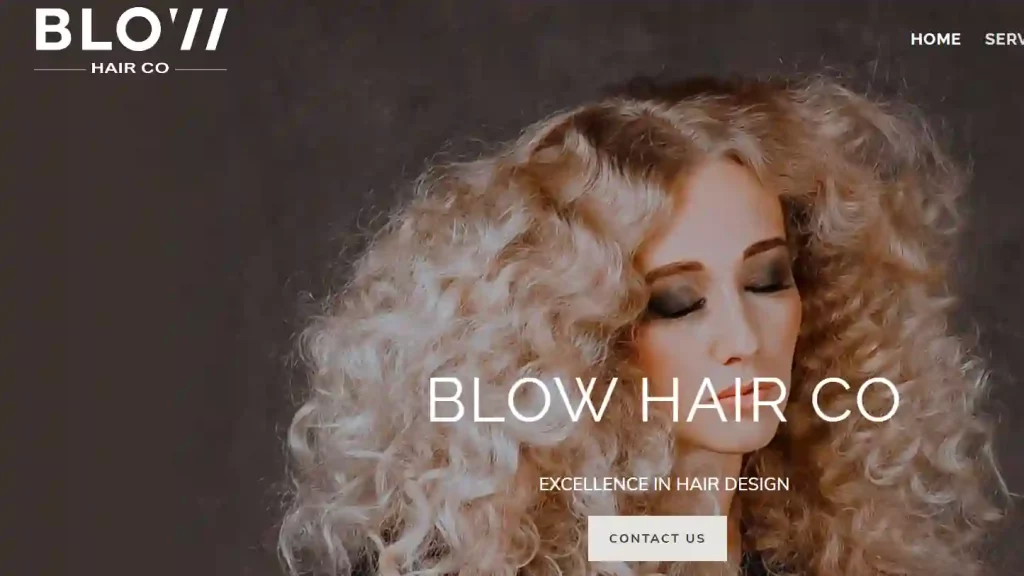 Blow Hair Co