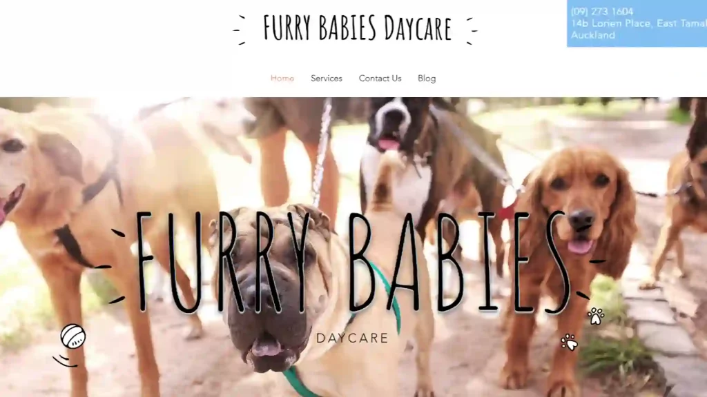 Furry Babies Daycare
