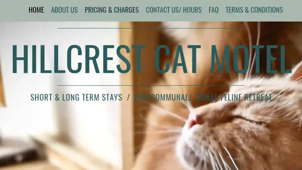 Hillcrest Cat Motel