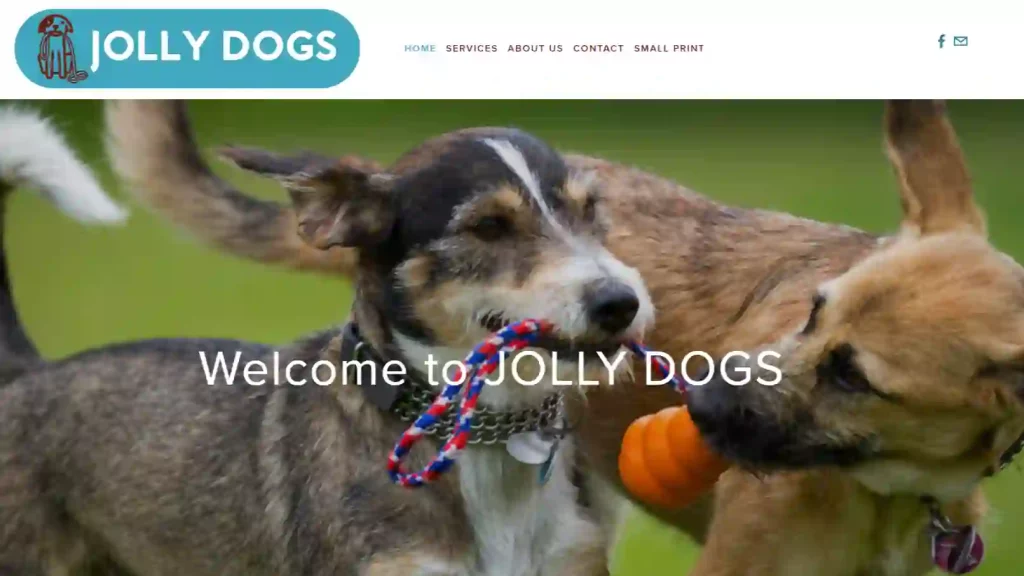 Jolly Dogs Daycare