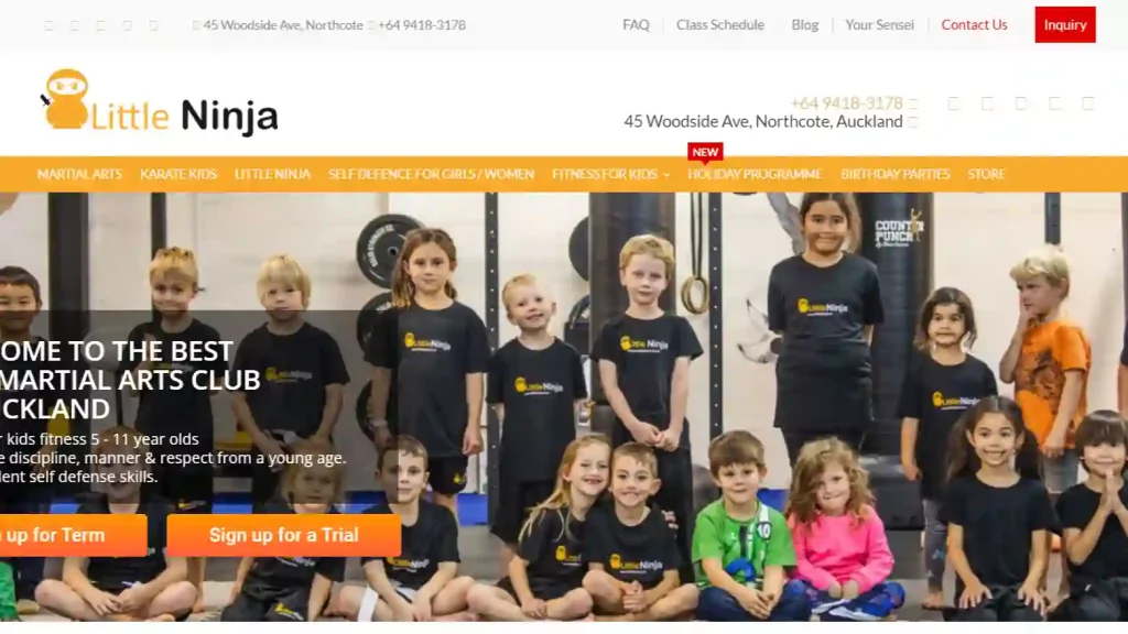 Little Ninja Kids Martial Arts