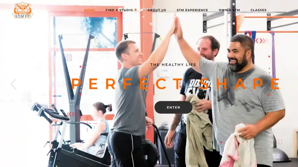 STM functional fit