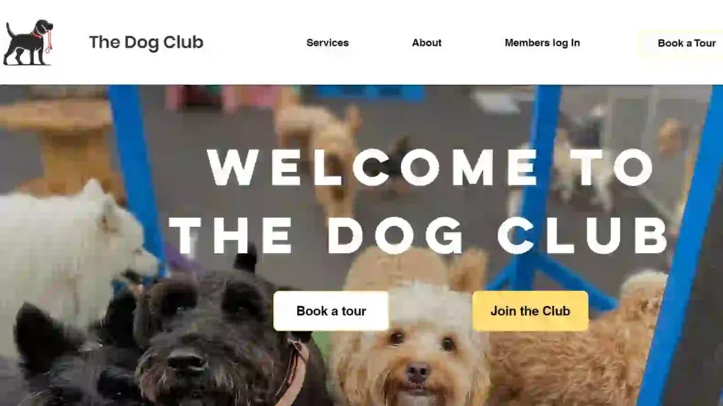 The Dog Club