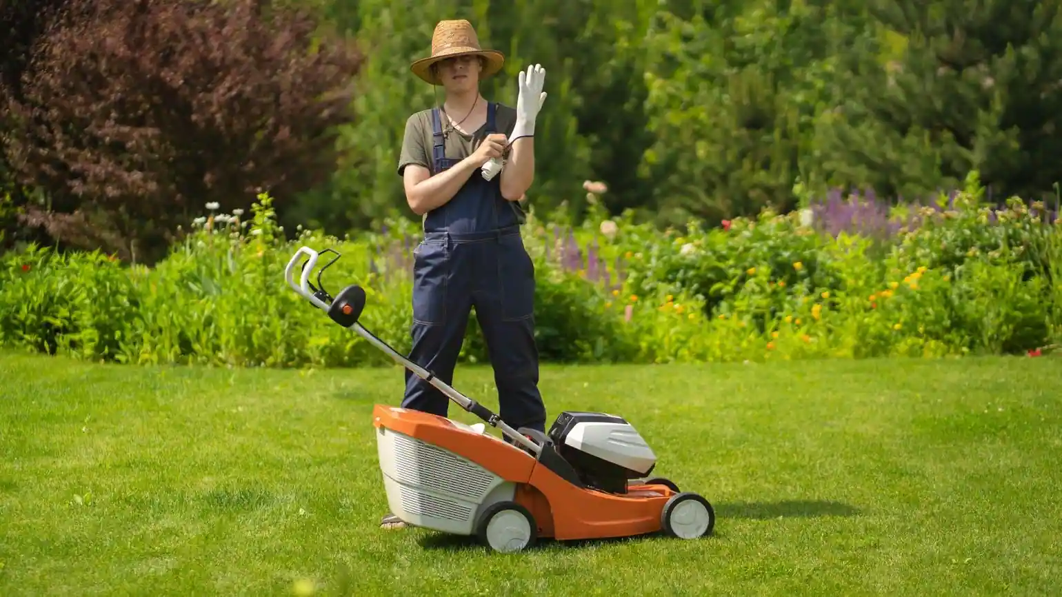 Best Lawn Mowing Services in Auckland.