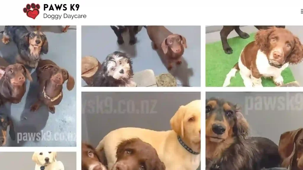 PAWS K9