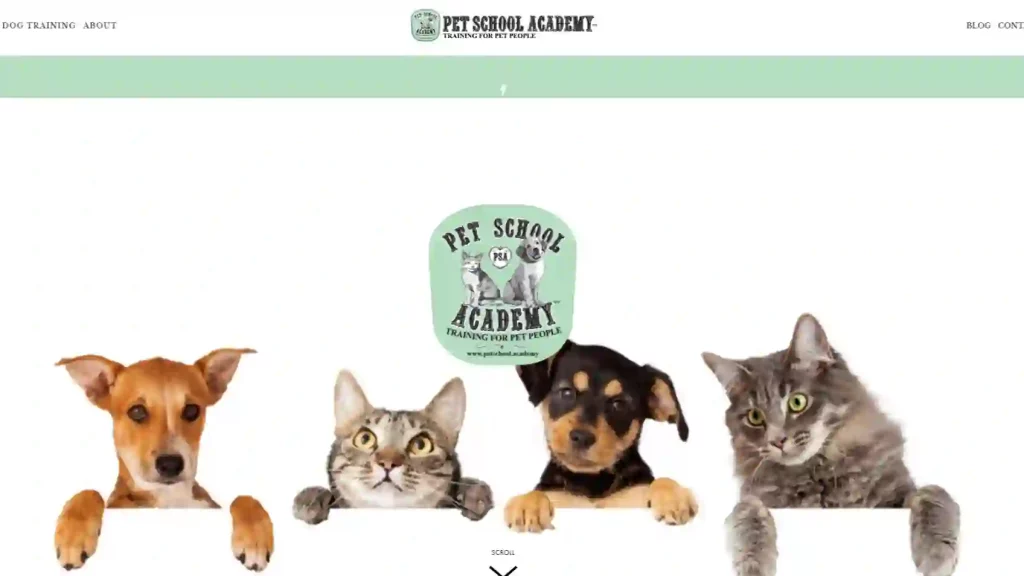 Pet School