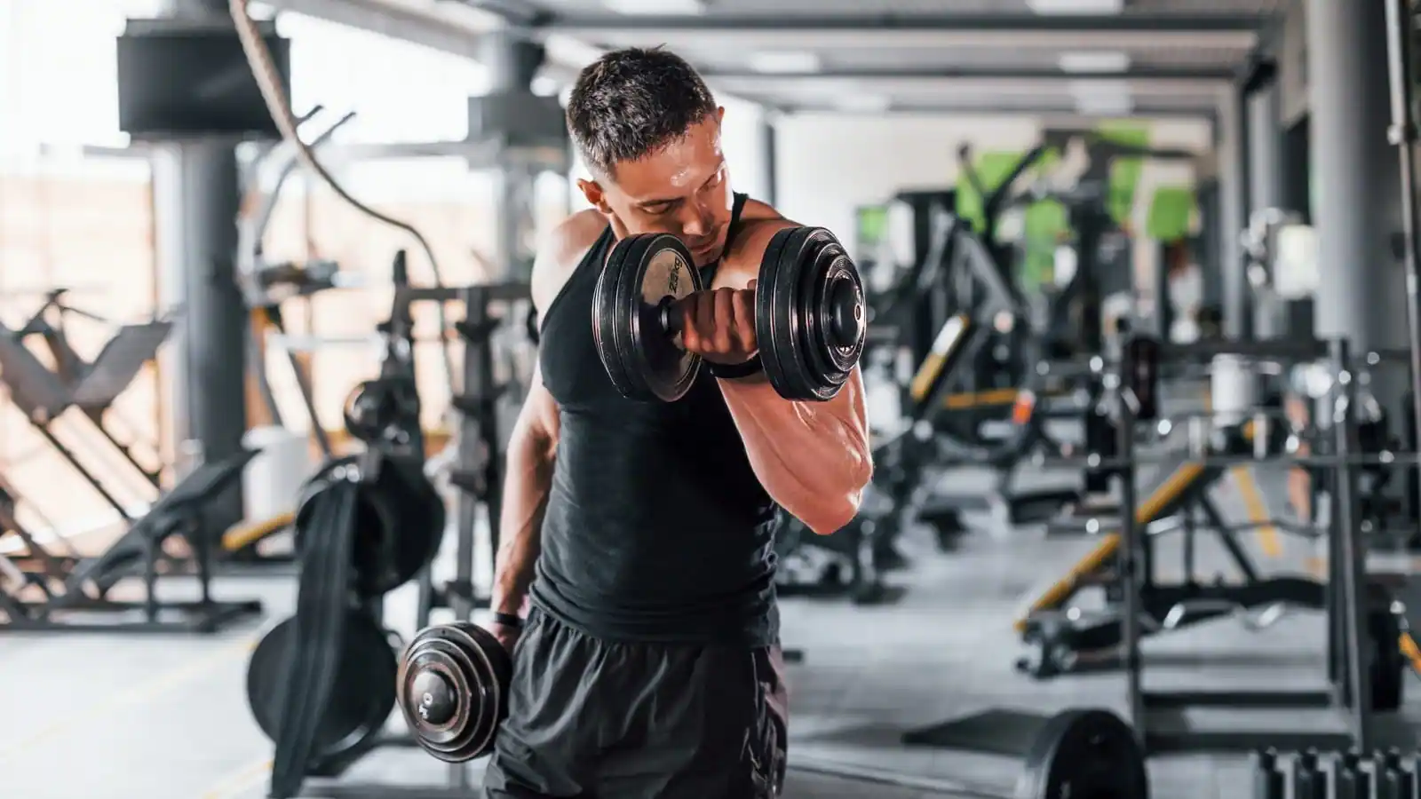 The Best GYMs in Dunedin