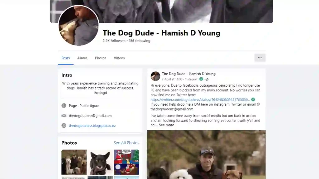 The Dog Dude