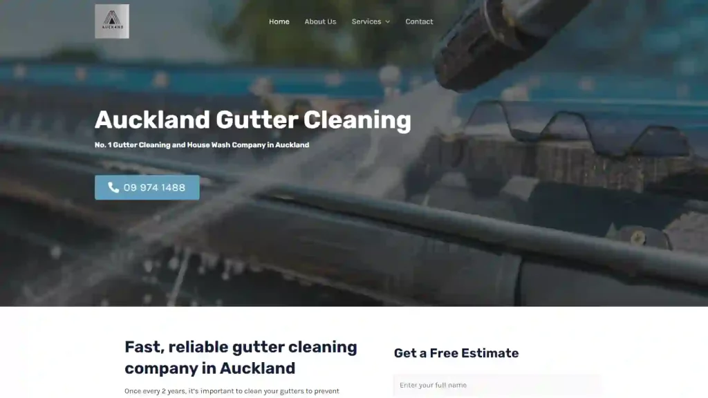 Auckland Gutter Cleaning