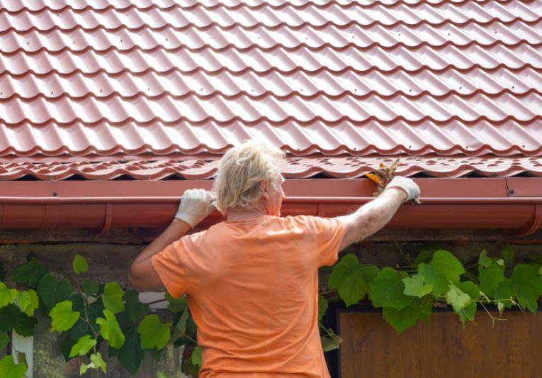 Best Gutter Cleaning Services in Auckland