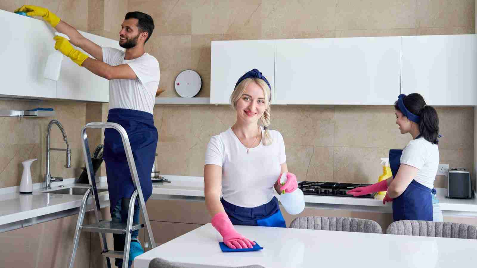 Best Home and Office Cleaners in Auckland