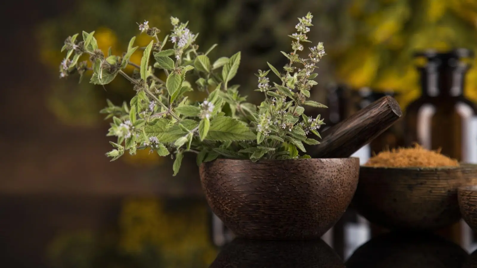 Best Naturopaths in Auckland