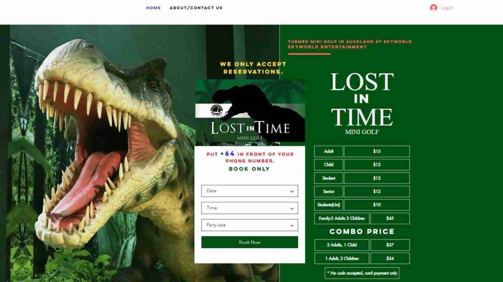 Lost in Time