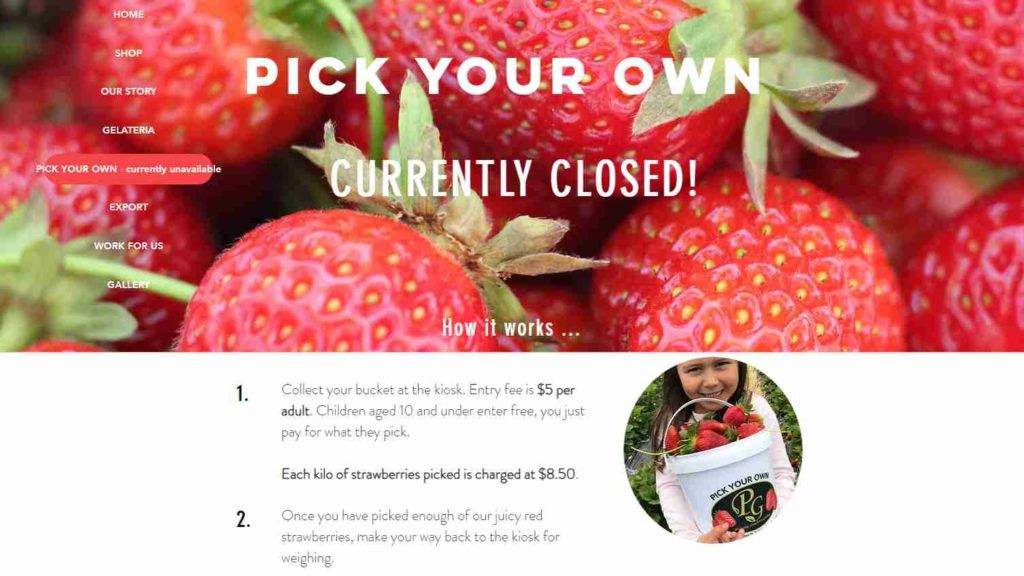 Phil Greig Pick Your Own Strawberries