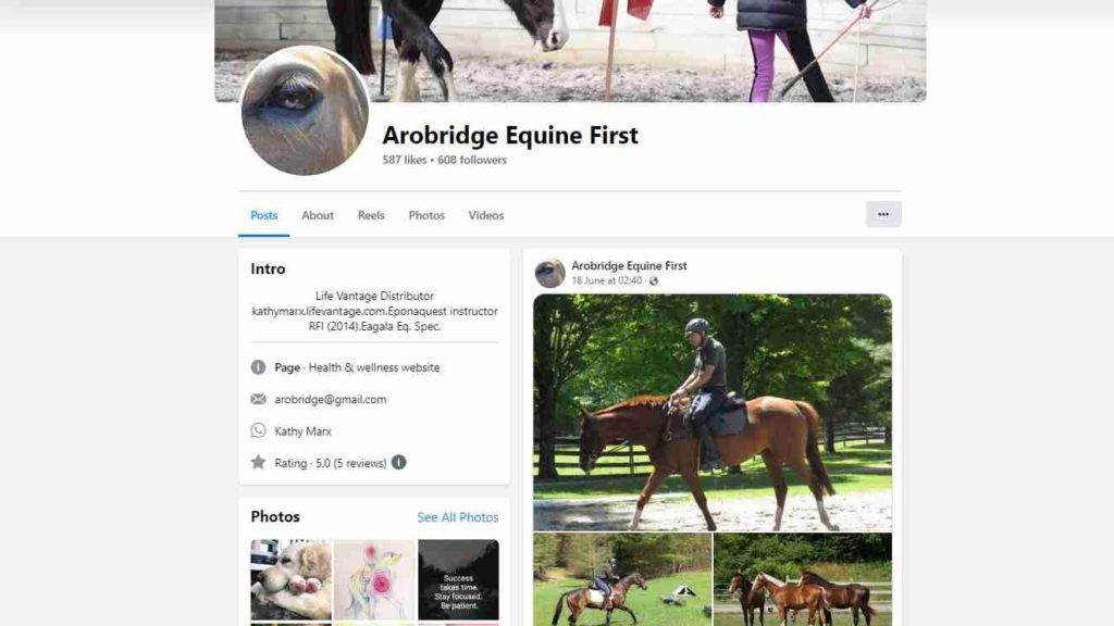 Arobridge Equine First