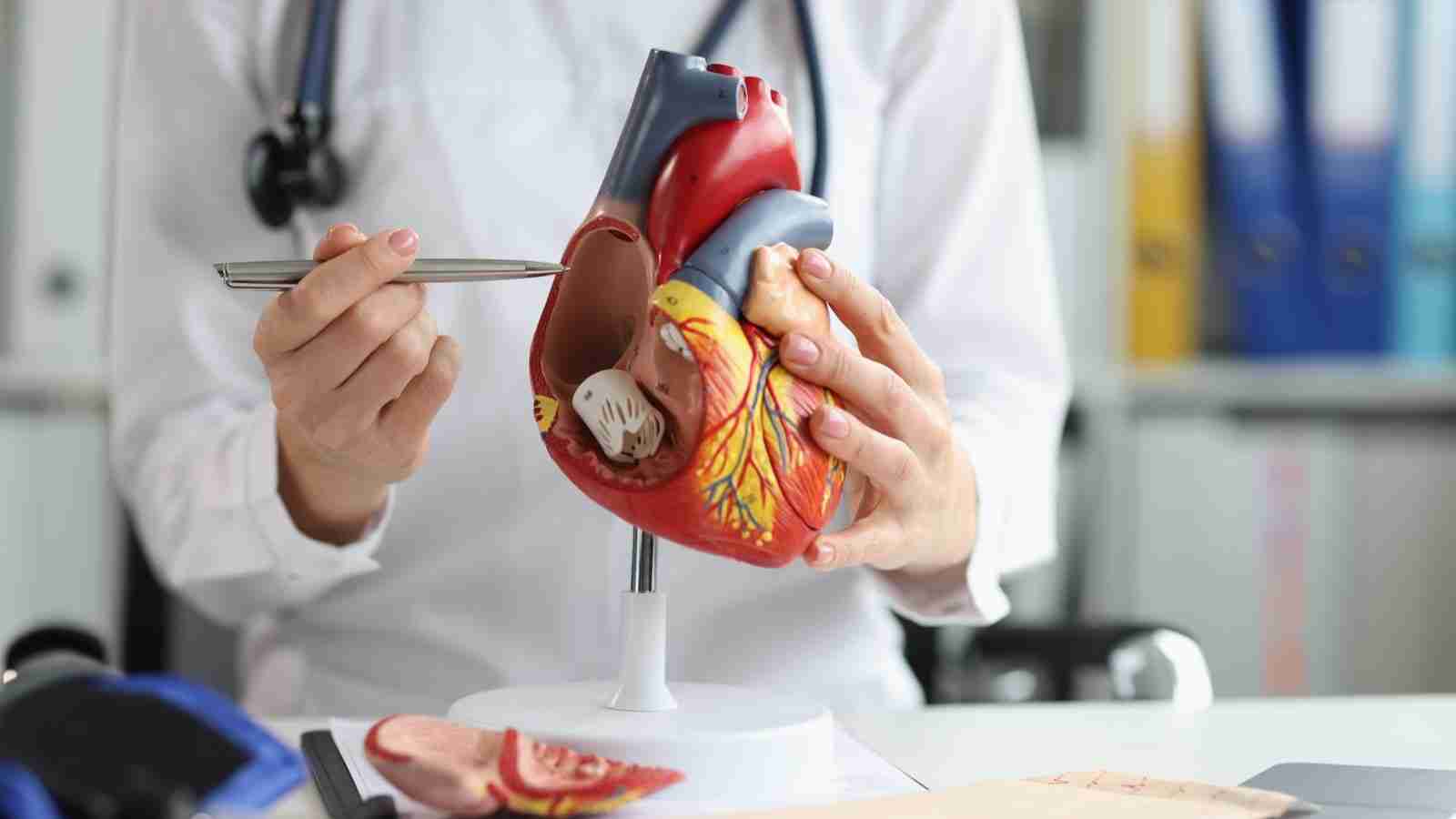 Best Cardiologist in Wellington