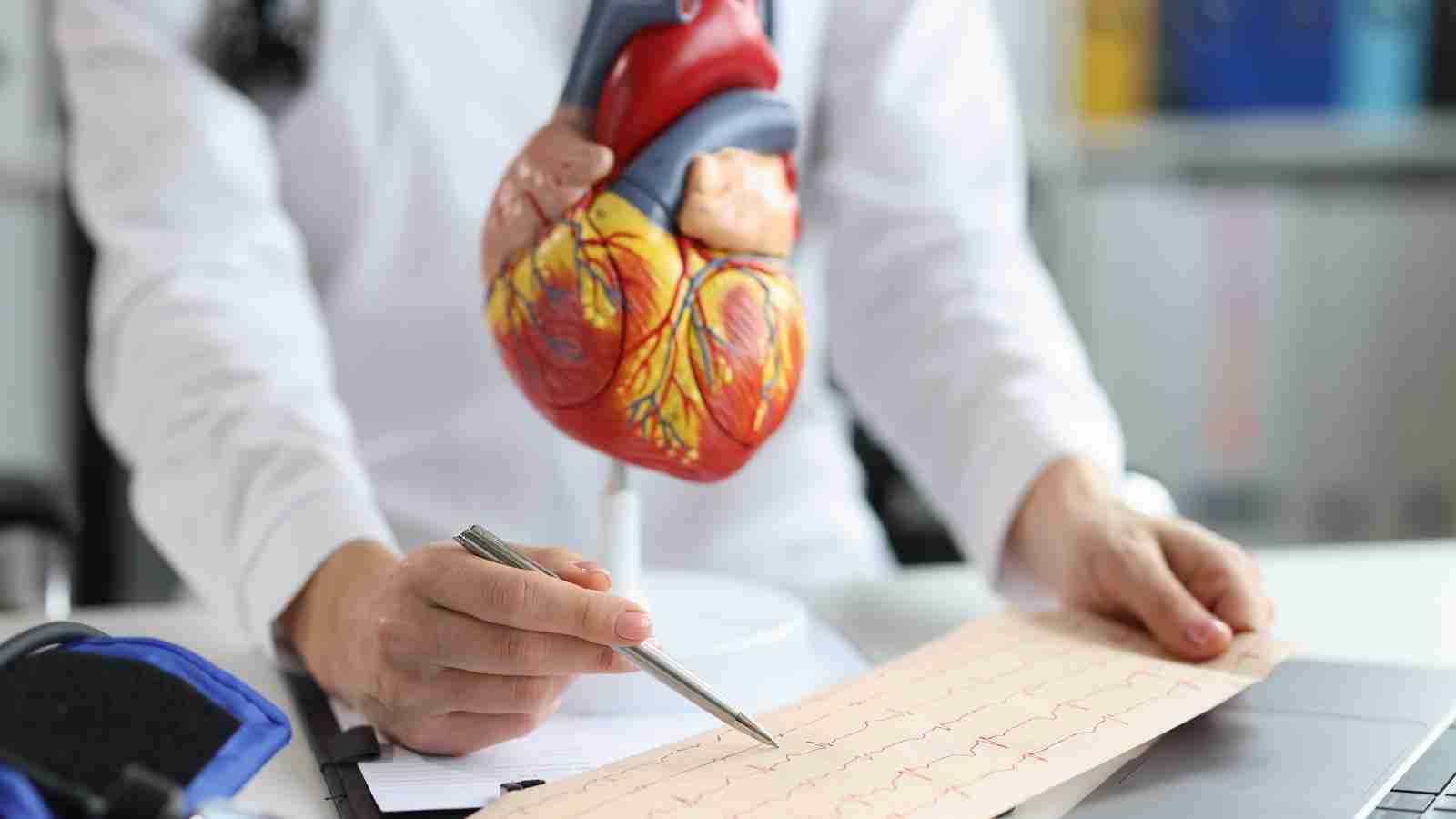 Best Cardiologists in Christchurch