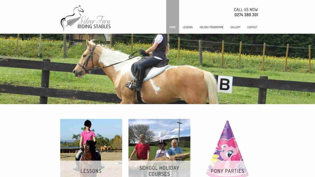 Silver Fern Riding