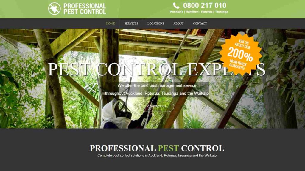 Professional Pest Control
