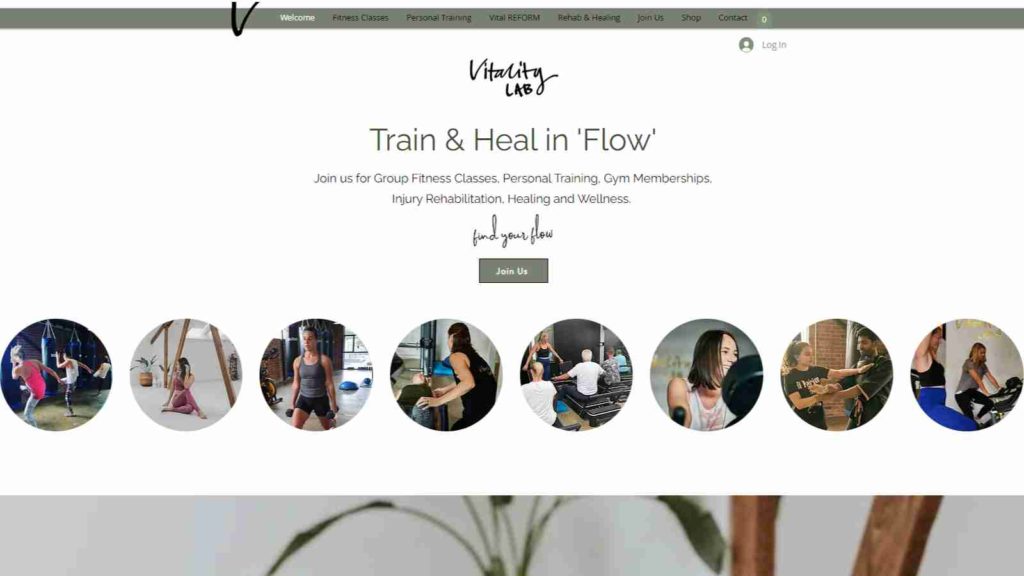 Vitality Lab 