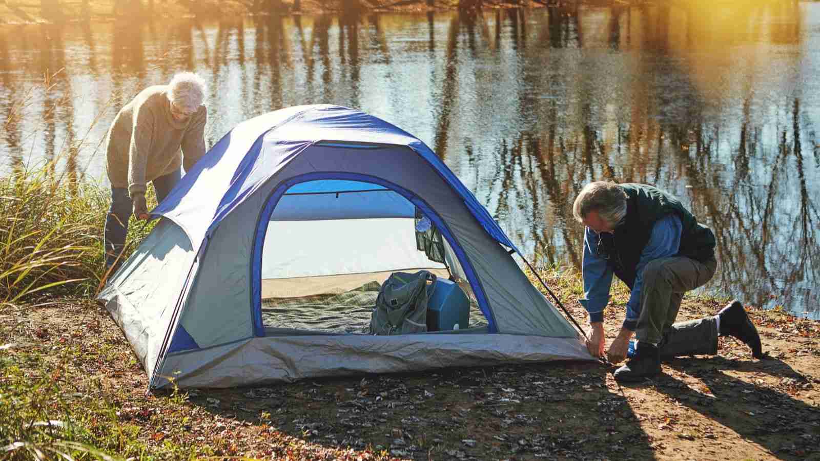 Best Camping Spots in Coromandel